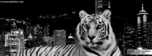 White Tiger Facebook Covers