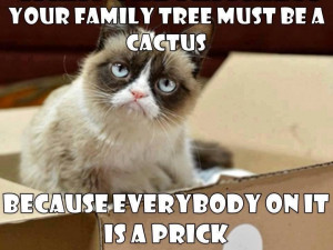 Grumpy Cat Quotes