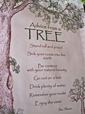 Advice from a TREE