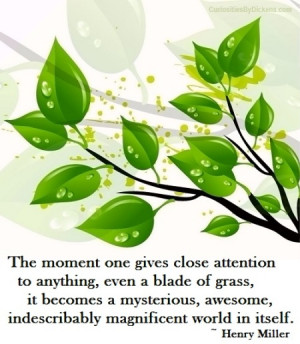 The moment one gives close attention to anything, even a blade of ...