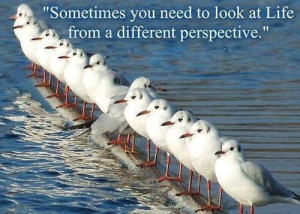Sometimes you need to look at life from a different perspective
