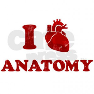 love_anatomy_rectangle_sticker.jpg?color=White&height=460&width=460 ...