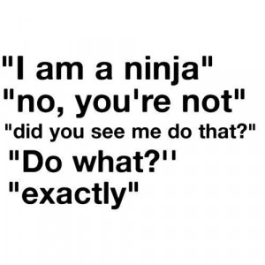 conversation, funny, ninja, quote, saying