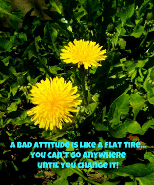 No man dares to go boldly where no man