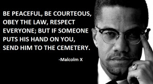 Malcolm Quotes Racism