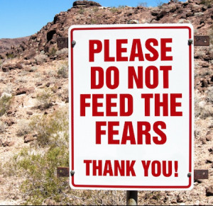 Please Do Not Feed the Fears