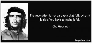 The revolution is not an apple that falls when it is ripe. You have to ...