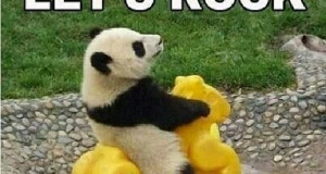 ... Vegas? Yes but I'm never there so it's almost like a vacation to go