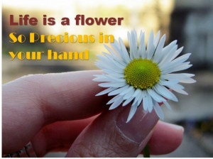life-is-flower-quote