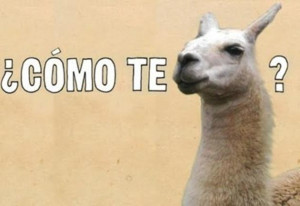 Funny Spanish Memes (20 Pics)