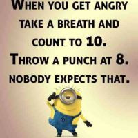 Top 30 Funny Minions Picture Quotes