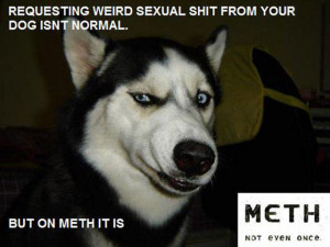 Funny ”This Is Not Normal” Meth Memes (35 pics) - Picture #28