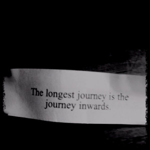 Quote. The longest journey ...