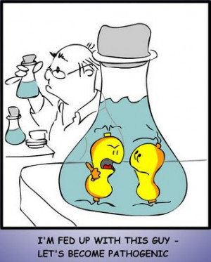 ... : Microbiology gallery, Microbiology cartoons, Microbiology Jokes