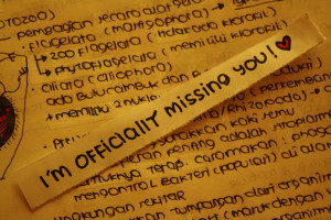 25 Memorable Missing You Quotes