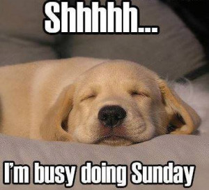 Shh I’m busy doing Sunday quotes quote days of the week sunday ...