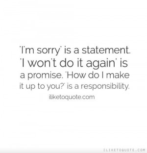sorry' is a statement. 'I won't do it again' is a promise. 'Ho...
