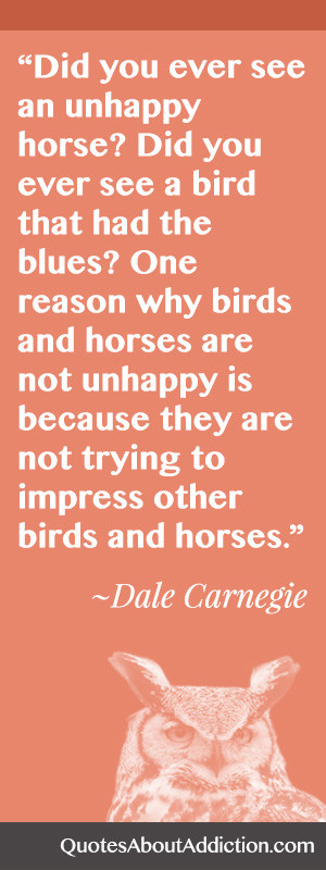 Have You Ever Seen an Unhappy Horse or Bird?
