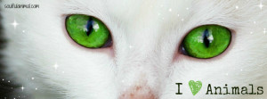 FB Cover Cat Green Eyes Quote