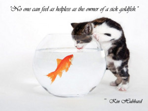 animals and life quotes written by helen thursday 07 january 2010