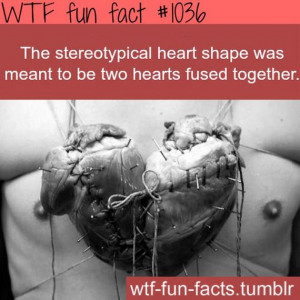wonder how many of these wtf facts are true.