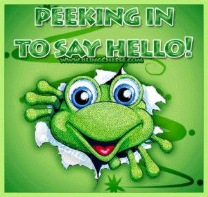 Hello Frog Peeking Comments