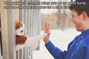 When Awkward situations illustrated with animals picture.