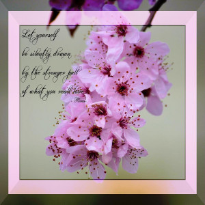 Spring Flowering Tree Inspirational Rumi Floral Photograph