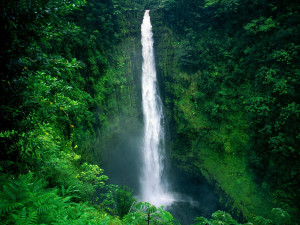 To Download Akaka Waterfalls wallpaper click on full size and then ...