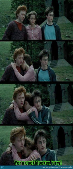 Gettin Real Tired Of Yer Sh*t, 'arry - Ron