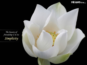The Beauty of Friendship Is In It’s Simplicity ~ Friendship Quote