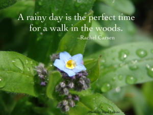 rainy day love quotes