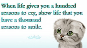 quotes drawn Kittie motivational posters baby animals wallpaper ...