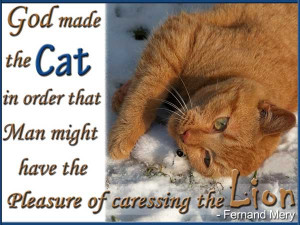 God made the cat in order that Man might have Pleasure of caressing ...
