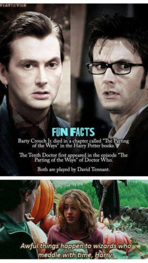 Doctor Who/Harry Potter. MAYBE THE DOCTOR IS BARTY CROUCH JR!!! Well ...