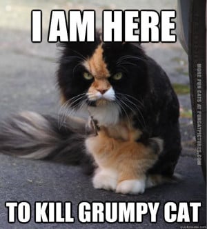 funny-pics-evil-cat-will-kill-grumpy-cat
