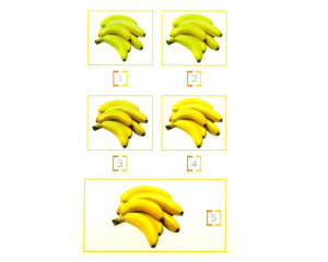 Using Ethylene Generator...