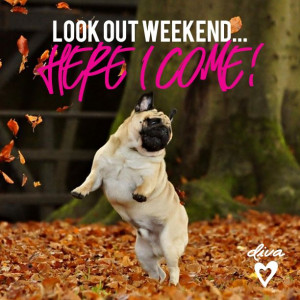 Happy FRIDAY! #quote #divaaccessories