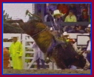Re: Lane Frost (25) was killed in a bull riding accident at the 1989 ...