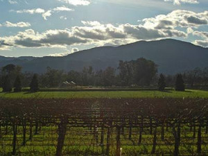 Gordon Getty - Napa Valley Winery