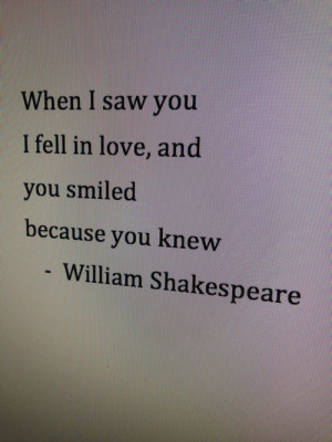 When I saw you I fell in love. And you smiled because you knew.