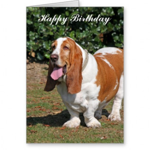 Cute Funny Happy Birthday Card Dog Yorkie Design