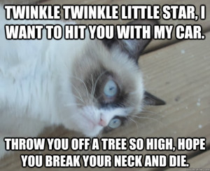 Grumpy Cat Quotes Star Quot Grumpy Cat Version