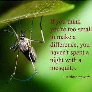 ... you are too small to make a difference, try sleeping with a mosquito