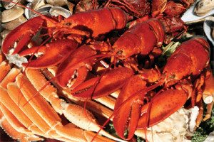 ... lobster feast the best all you can eat lobster seafood buffet in
