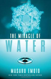 Masaru Emoto Quotes Water Clinic