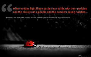 When these beetles fight these battles in a bottle with their paddles ...