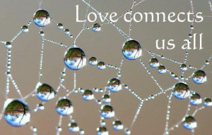 Spider Web + Dew = Reflection