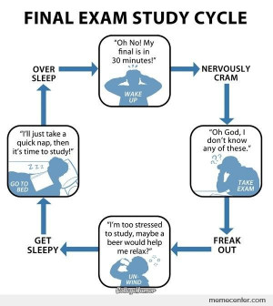 Final Exam Study Cycle