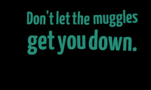 Don't let the muggles get you down.